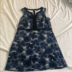 COPY - Women’s Ann Taylor Blue and Black Dress